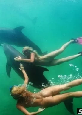Голые девушки под водой (16 фото)